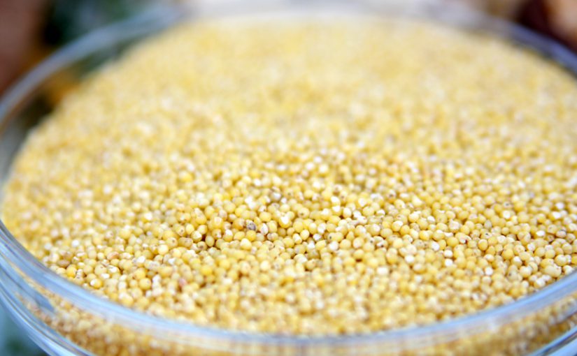 Going With the Grains – Millet