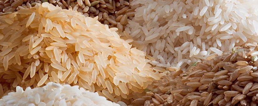 Going With the Grains – Rice