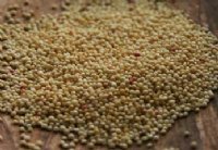 Amaranth