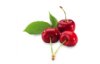 Adagio Black Cherry Bulk Tea (16oz/bag)
