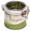 Adagio visibilTEA Citrus Green Tea in 4oz. Tin