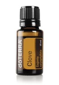 Clove 15ml Essential Oil