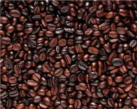 Organic Fair Trade Tierra Breakfast Blend Whole Bean Nt Wt 1 LB