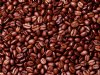 Organic Fair Trade Papua New Guinea Whole Bean Dark Roast Nt Wt 1 LB