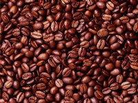 Organic Fair Trade Sumatran Whole Bean Nt Wt 1 LB