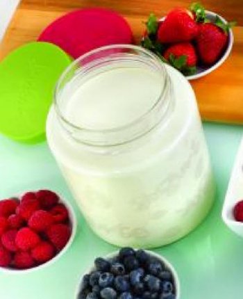 Glass 2 EuroCuisine Yogurt Jar GY85 Quart