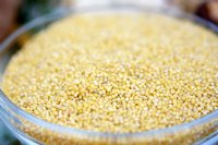 Millet