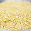Millet Hulled  42lbs. 6 gal. Bckt.