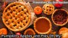 Pumpkins, Apple, & Pies - Oh My! - November 9th, 2023 - Digital Access