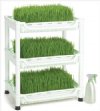 Sproutman Wheatgrass Grower