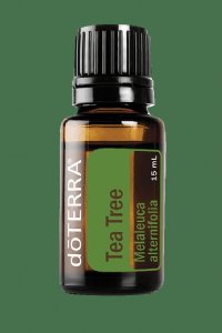 Tea Tree / Melaleuca 15ml Essential Oil