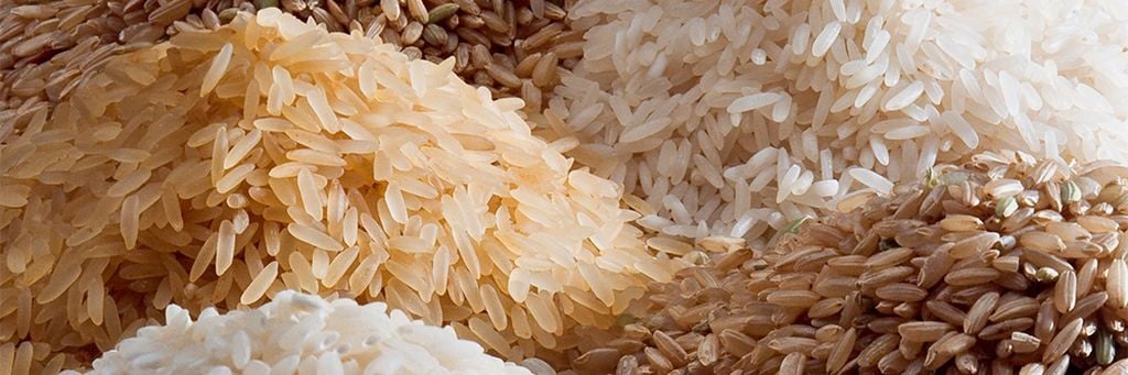 Going With the Grains &ndash; Rice